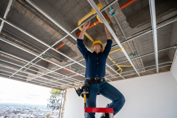 Best Plumbing Inspection Services  in Mount Vernon, KY